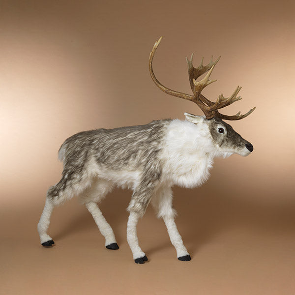 69.2"L Reindeer, K/D