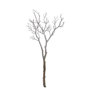 41'' Manzinita Branch,White
