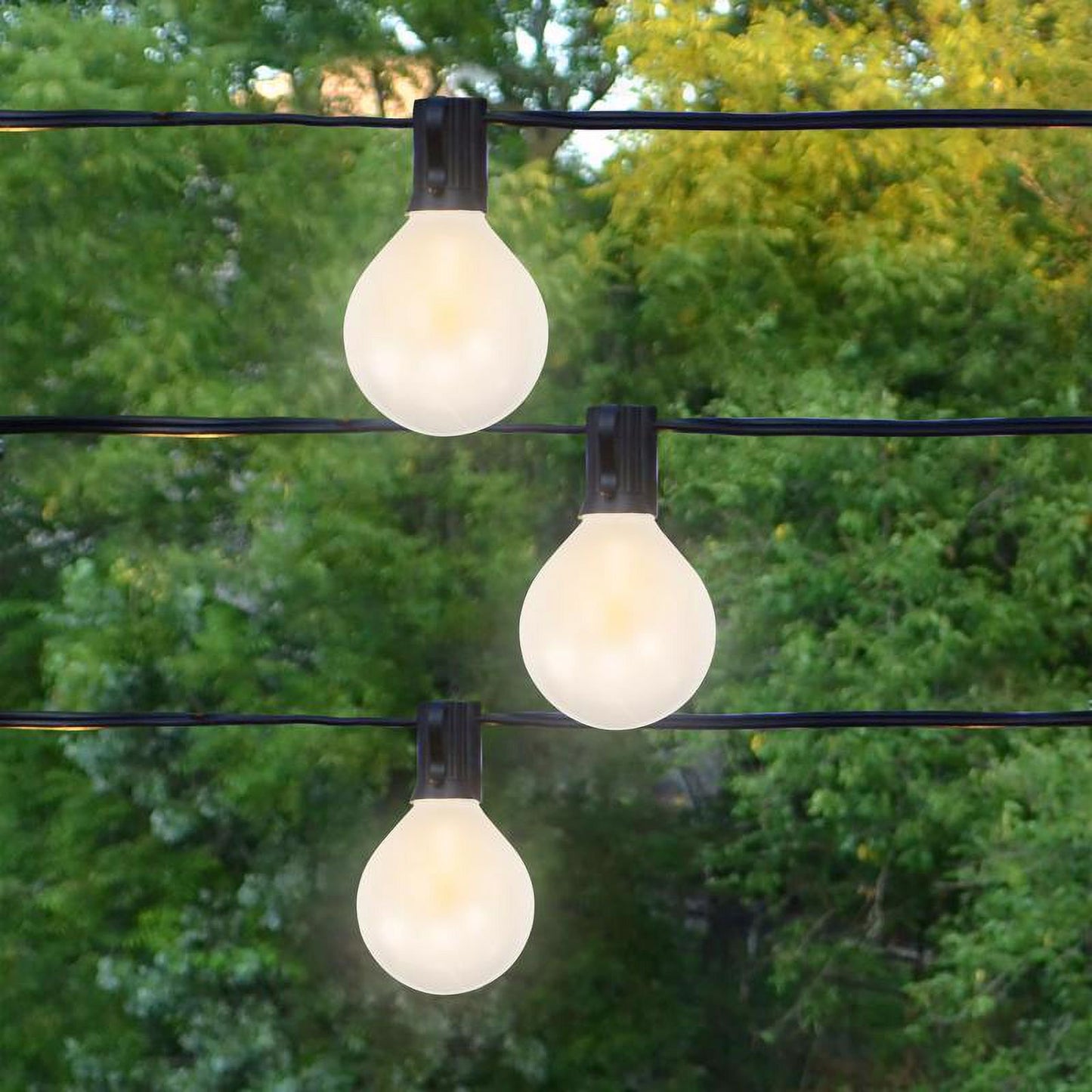 G50 LED Single Filament,Warm White FROST