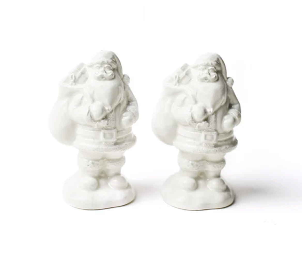 Santa Shaped Salt and Pepper Shaker Set