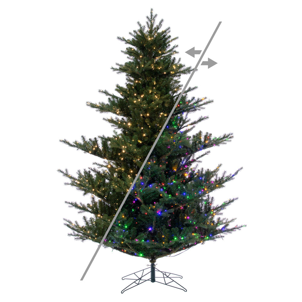 Vickerman F212071