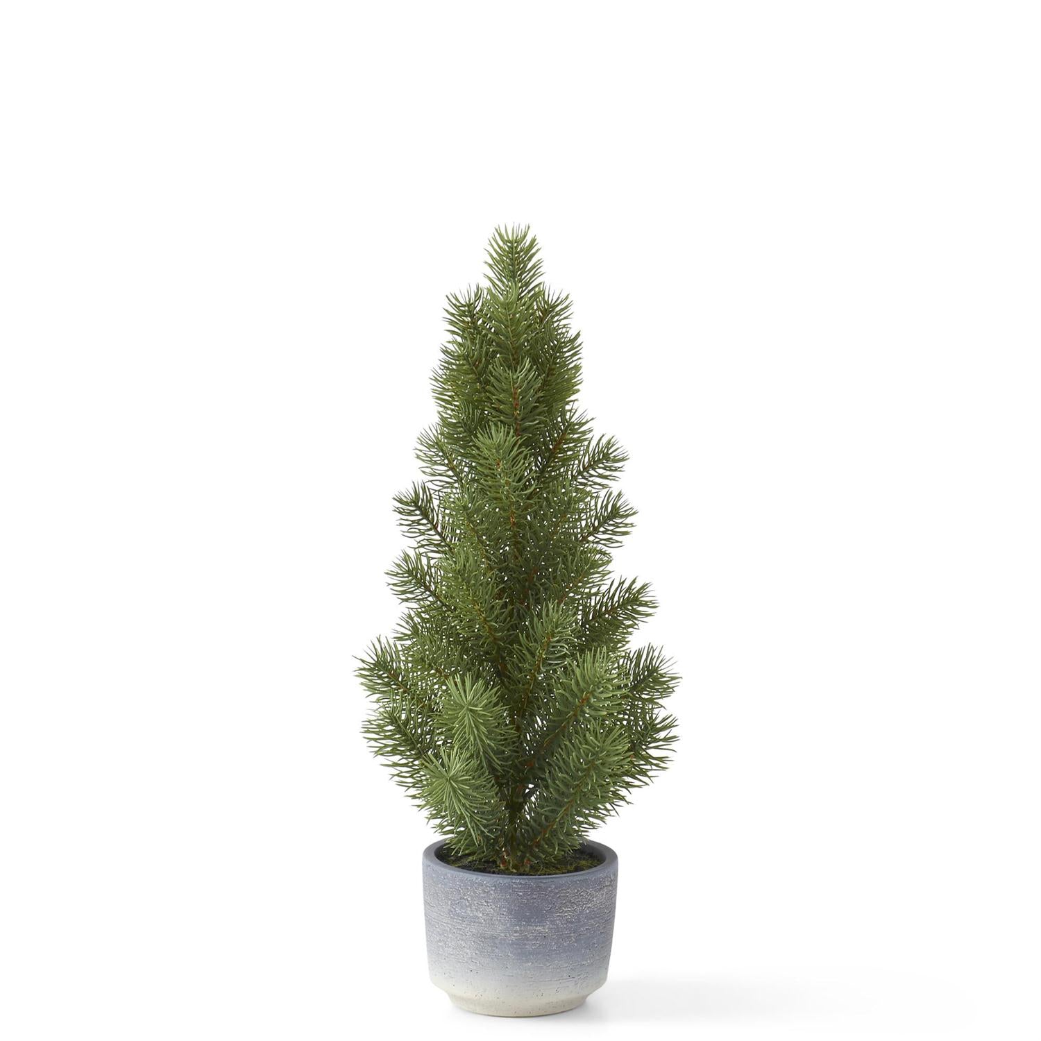 Tree Pine IN Gray Ombre Pots