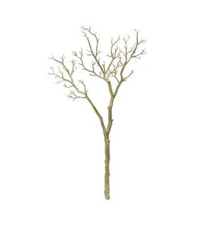41'' Manzinita Branch,Gold
