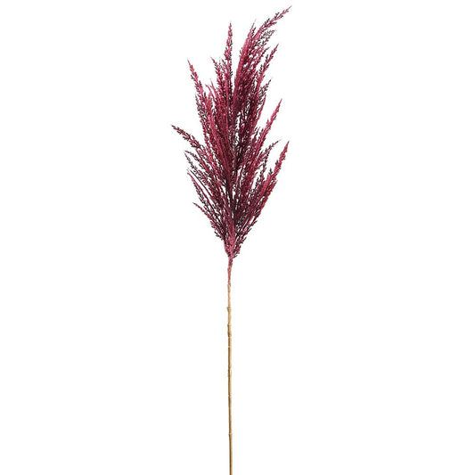 36" Pampas Grass Spray Burgandy