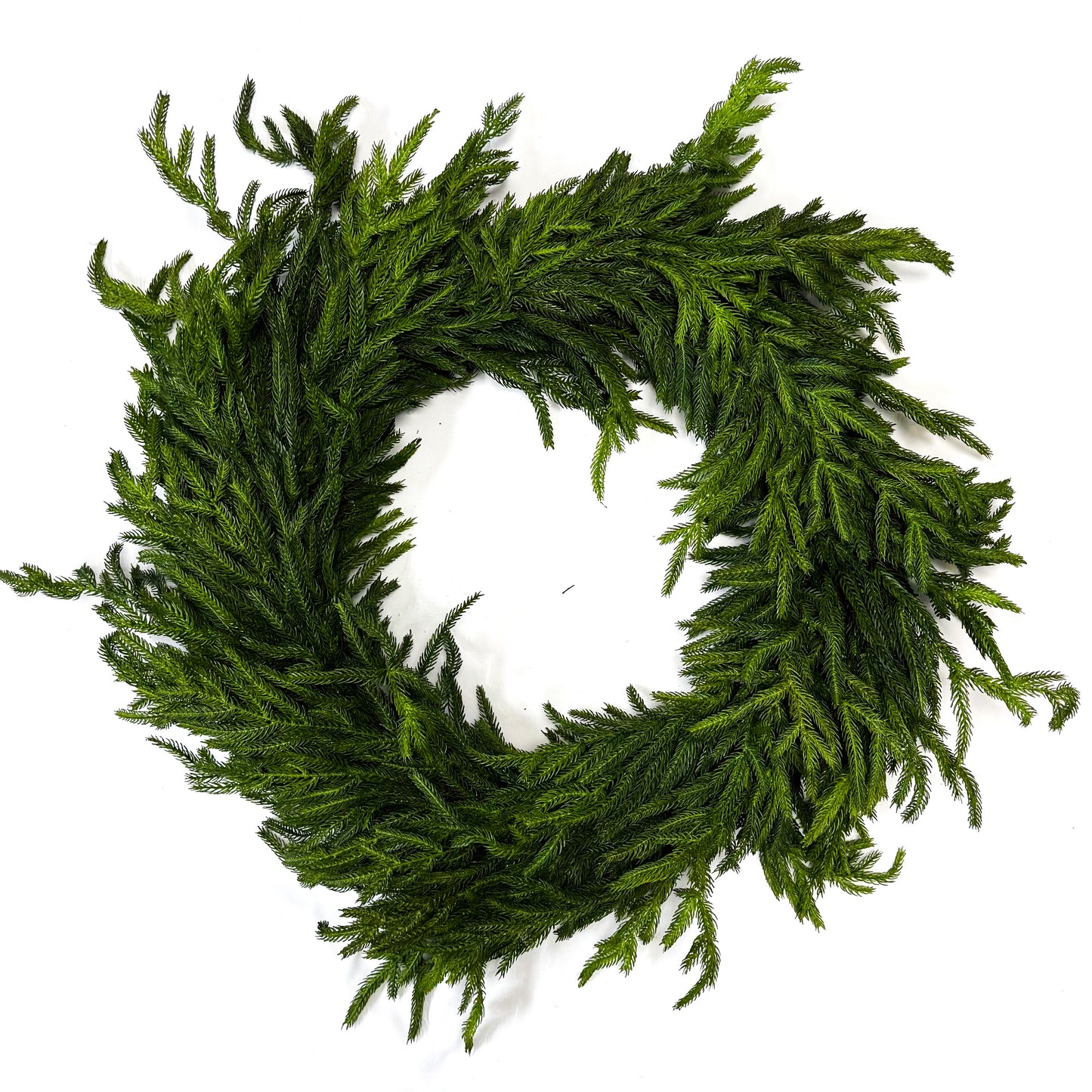 30" Just Cut Norfolk Pine Wreath