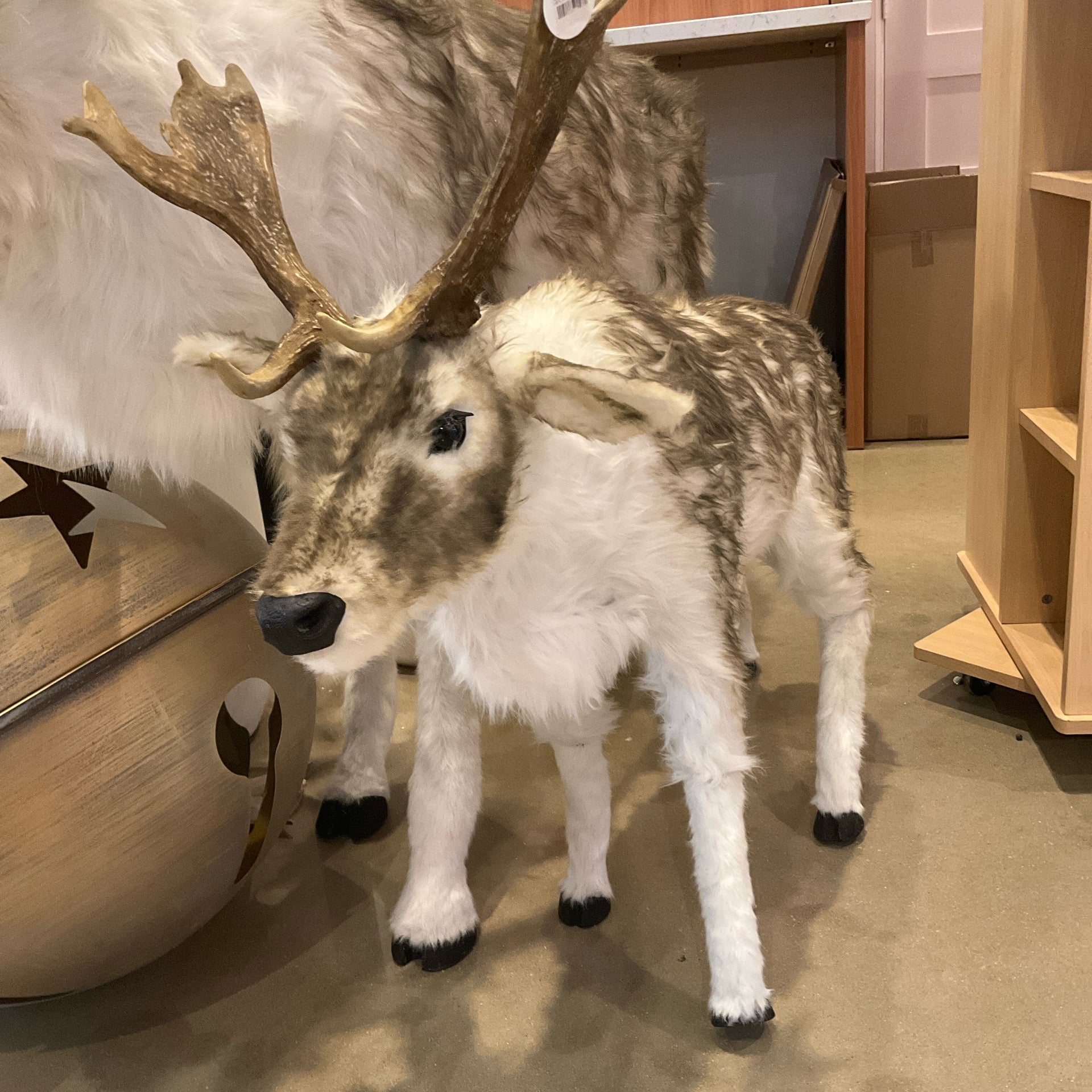 48"L Holiday Elk, K/D