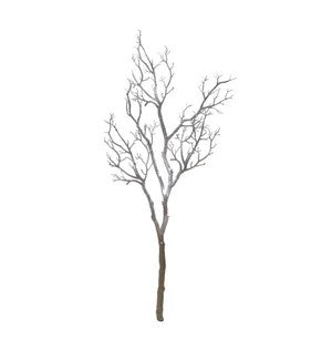 51'' Manzinita Branch,White