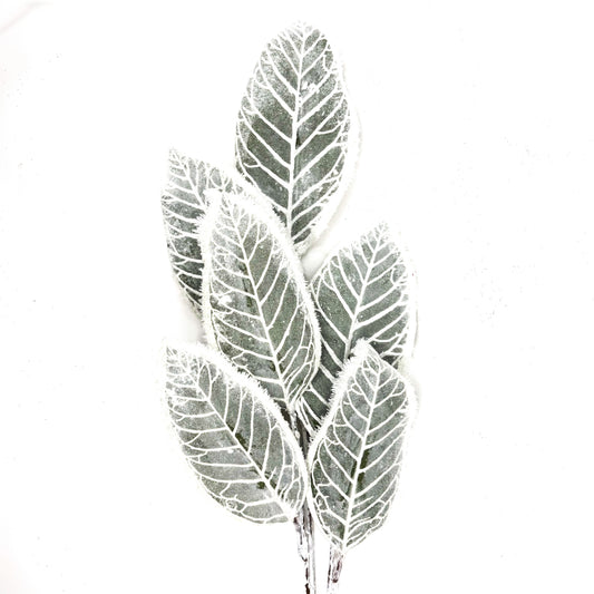 36" Frosted Magnolia Leaf Spray