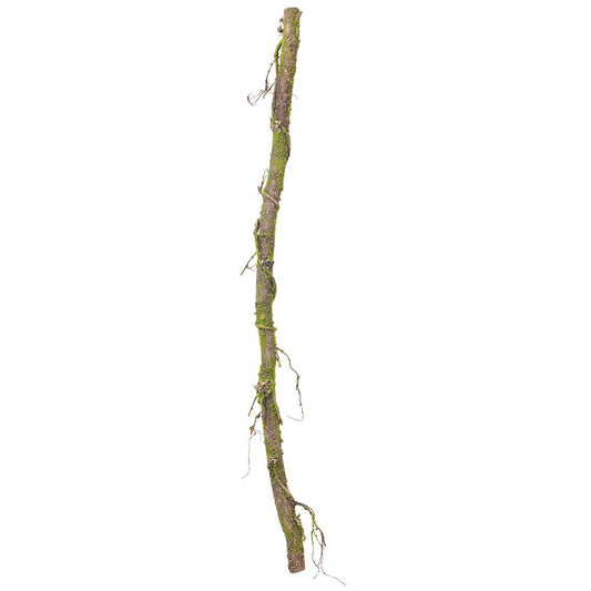 56" Moss Vine, Green
