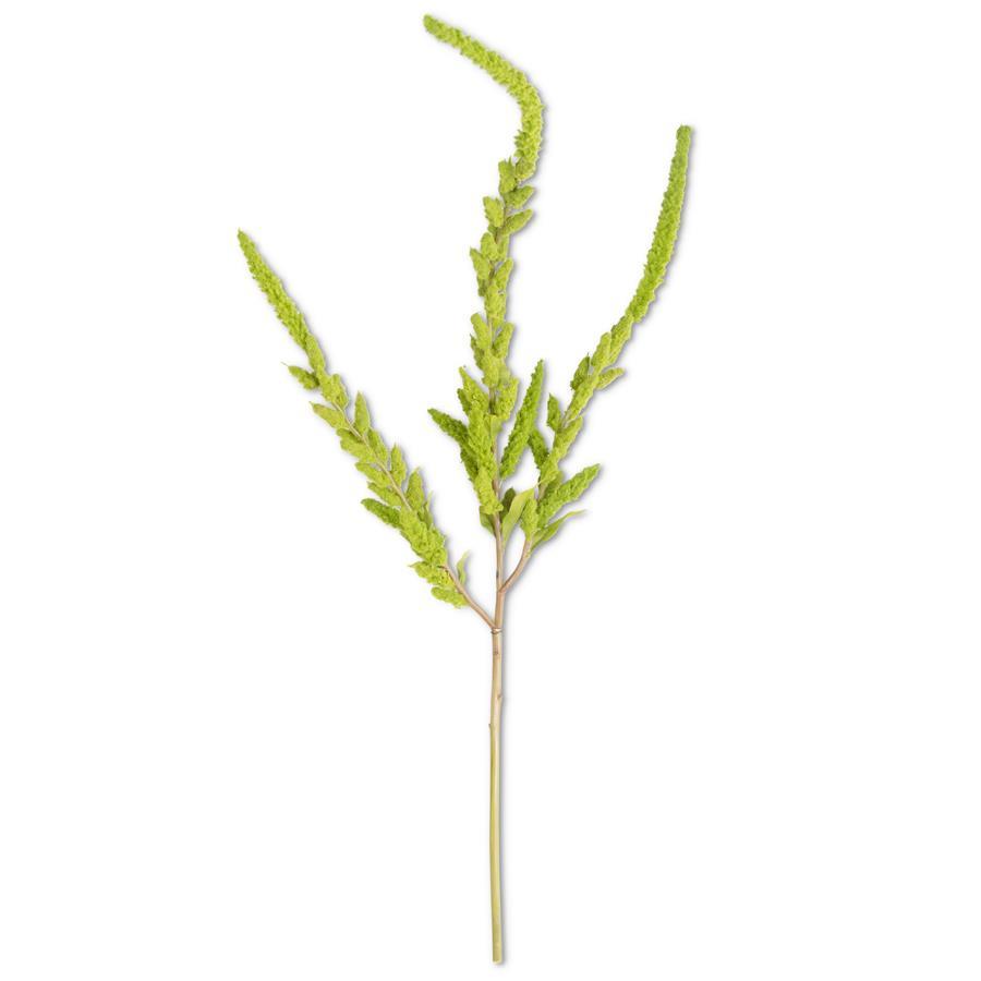 37" Stem Green Amaranthus