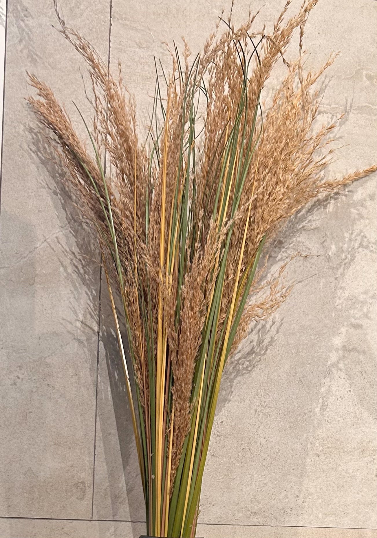 36" Pampas Grass Bush