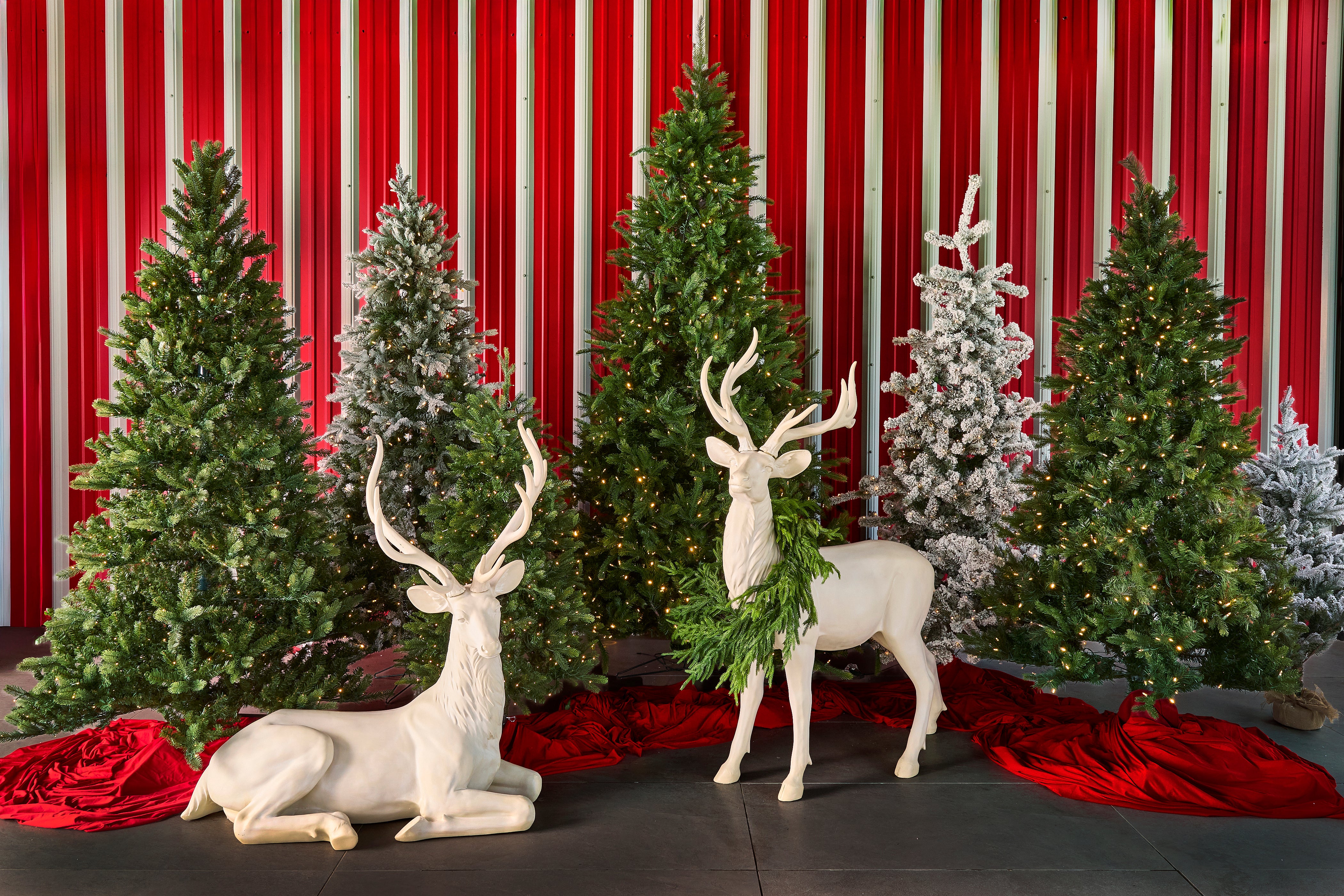 Christmas Trees