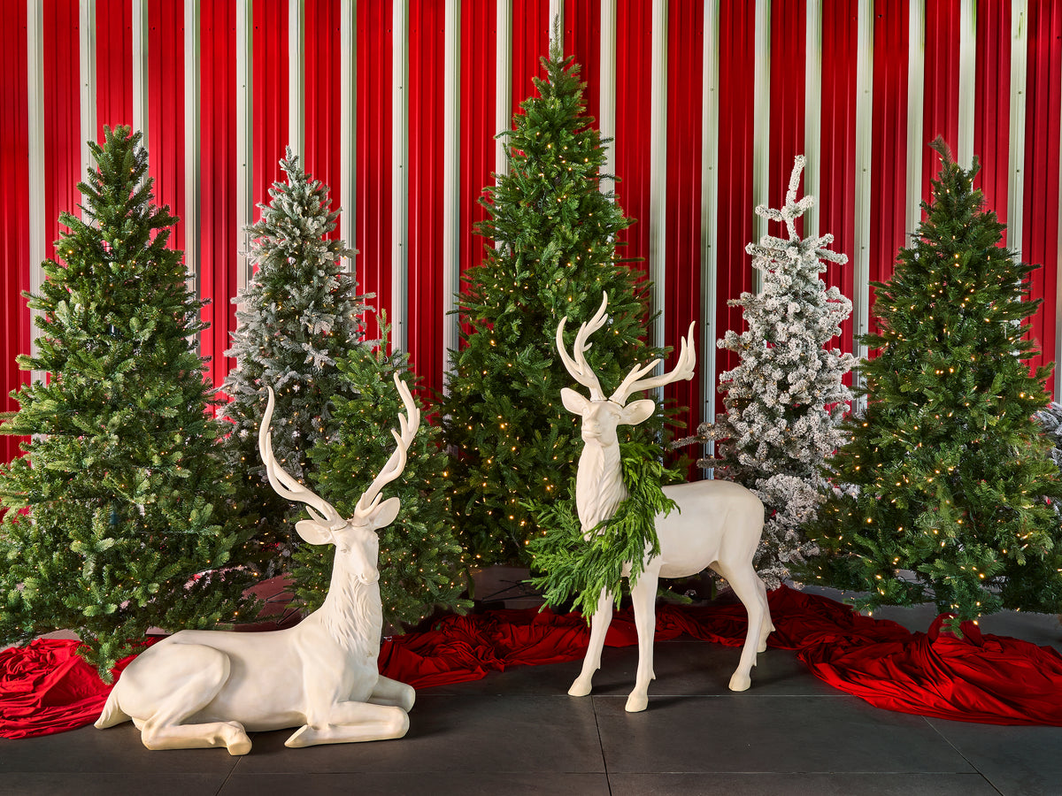Christmas Trees
